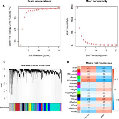 Specific signature biomarkers highlight the potential mechanisms of circulating neutrophils in aneurysmal subarachnoid hemorrhage